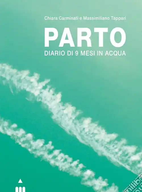 Parto. Diario di 9 mesi in acqua e in aria. Ediz. a colori Economico