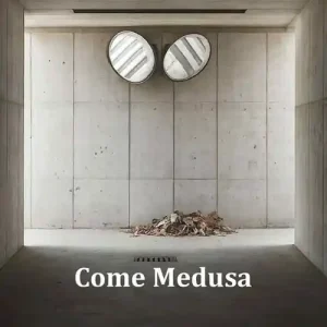 Come Medusa Scelto Dai Clienti