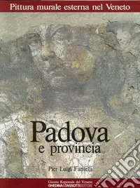 Pittura murale esterna nel Veneto. Vol. 1 Padova e provincia Novità