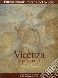 Pittura murale esterna nel Veneto. Vol. 4 Vicenza e provincia Offerta Speciale