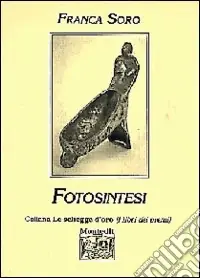 Offerta Speciale Fotosintesi