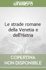 Le strade romane della Venetia e dell‘Histria Professionale