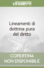 Lineamenti di dottrina pura del diritto Occasione