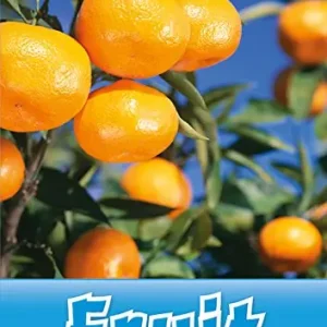 Read and discover. Level 1. Fruit. Per la Scuola media. Con audio pack. Con espansione online Affare