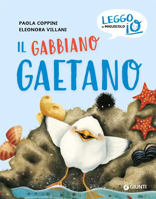 Il gabbiano Gaetano Offerta Speciale