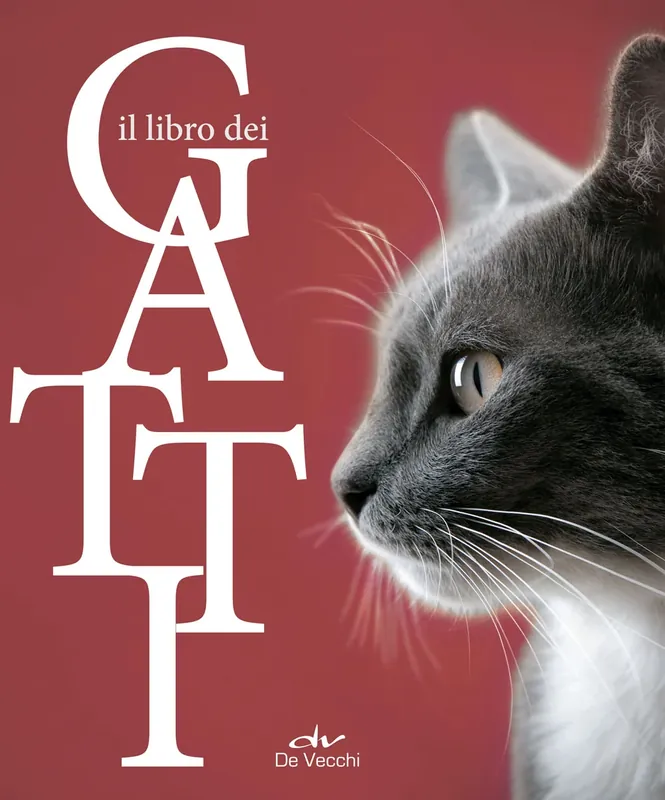 Il libro dei gatti Offerta Speciale