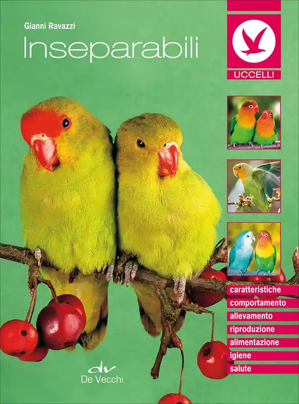 Inseparabili Caratteristiche - Comportamento - Allevamento - Riproduzione - Alimentazione - Igiene - Salute Nuova Collezione