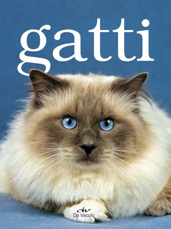 Ultima Occasione Gatti