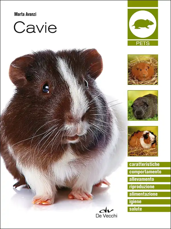 Cavie Caratteristiche - Comportamento - Allevamento - Riproduzione - Alimentazione - Igiene - Salute Novità