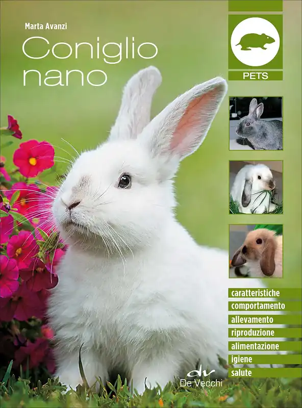 Sconto Coniglio nano Caratteristiche - Comportamento - Allevamento - Riproduzione - Alimentazione - Igiene - Salute