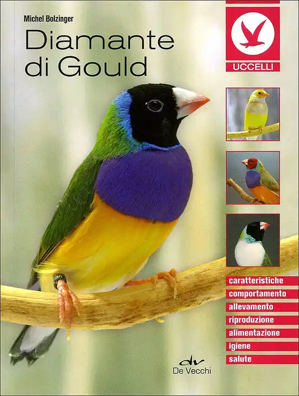 Diamante di Gould Caratteristiche, comportamento, allevamento, riproduzione, alimentazione, igiene, salute Compra Online