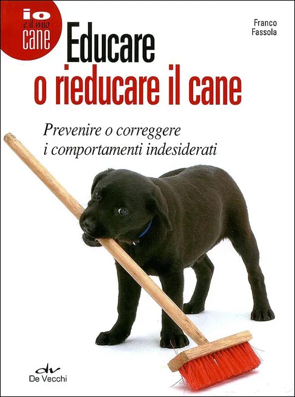 Educare o rieducare il cane Prevenire o correggere i comportamenti indesiderati Professionale