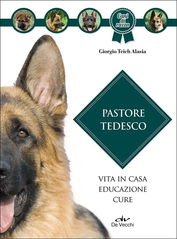 Ultimissimo Modello Pastore tedesco Vita in casa - Educazione - Cure