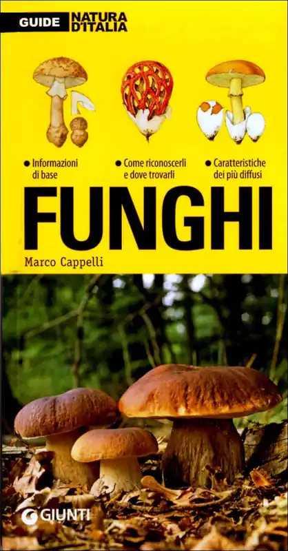 Funghi Bestseller