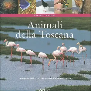 Animali della Toscana I protagonisti di una natura meravigliosa Nuova Collezione