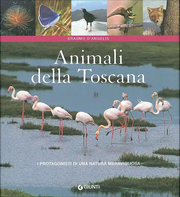 Animali della Toscana I protagonisti di una natura meravigliosa Nuova Collezione
