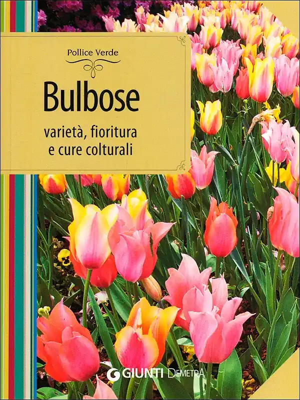 Spedito Oggi Bulbose Varietà, fioritura e cure colturali