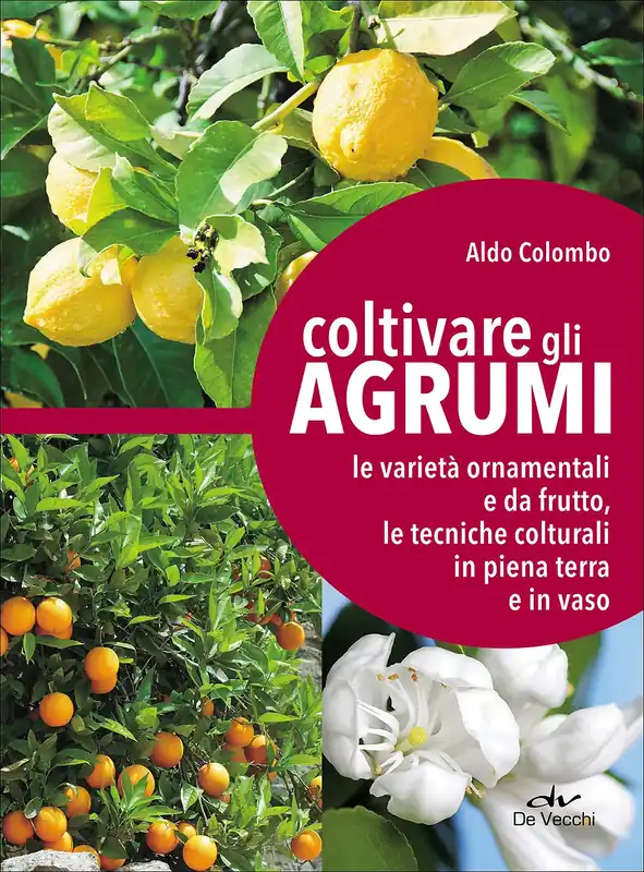 Coltivare gli agrumi Le varietà ornamentali e da frutto, le tecniche colturali in piena terra e in vaso Offerta Limitata