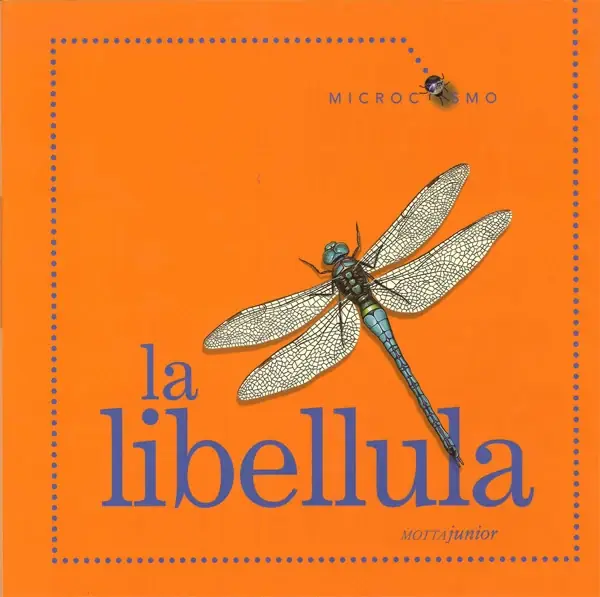 Offerta Speciale La libellula