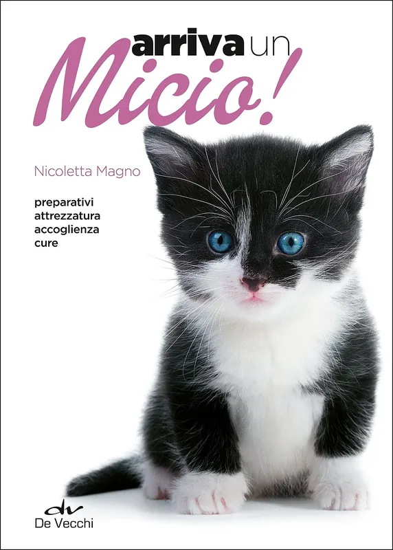 Arriva un micio! Preparativi Attrezzatura Accoglienza Cure Popolare