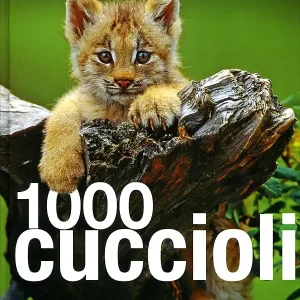 1000 cuccioli Spedizione Espresso
