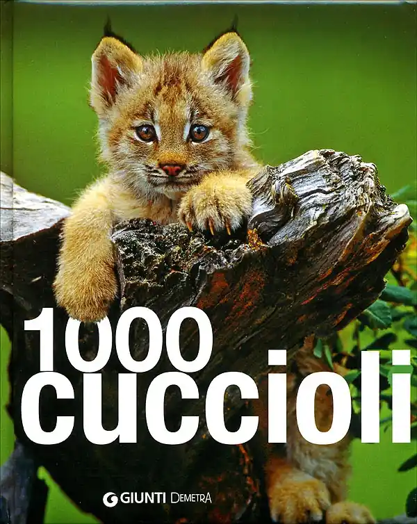 1000 cuccioli Spedizione Espresso