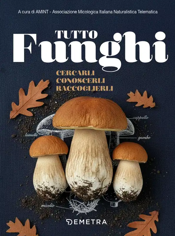 TUTTO FUNGHI Ultime Pezzi